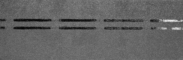 Коньково-карнизная черепица Docke Premium, черника купить в Нефтекамске